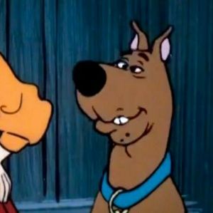 Meet your Posher, Kylie